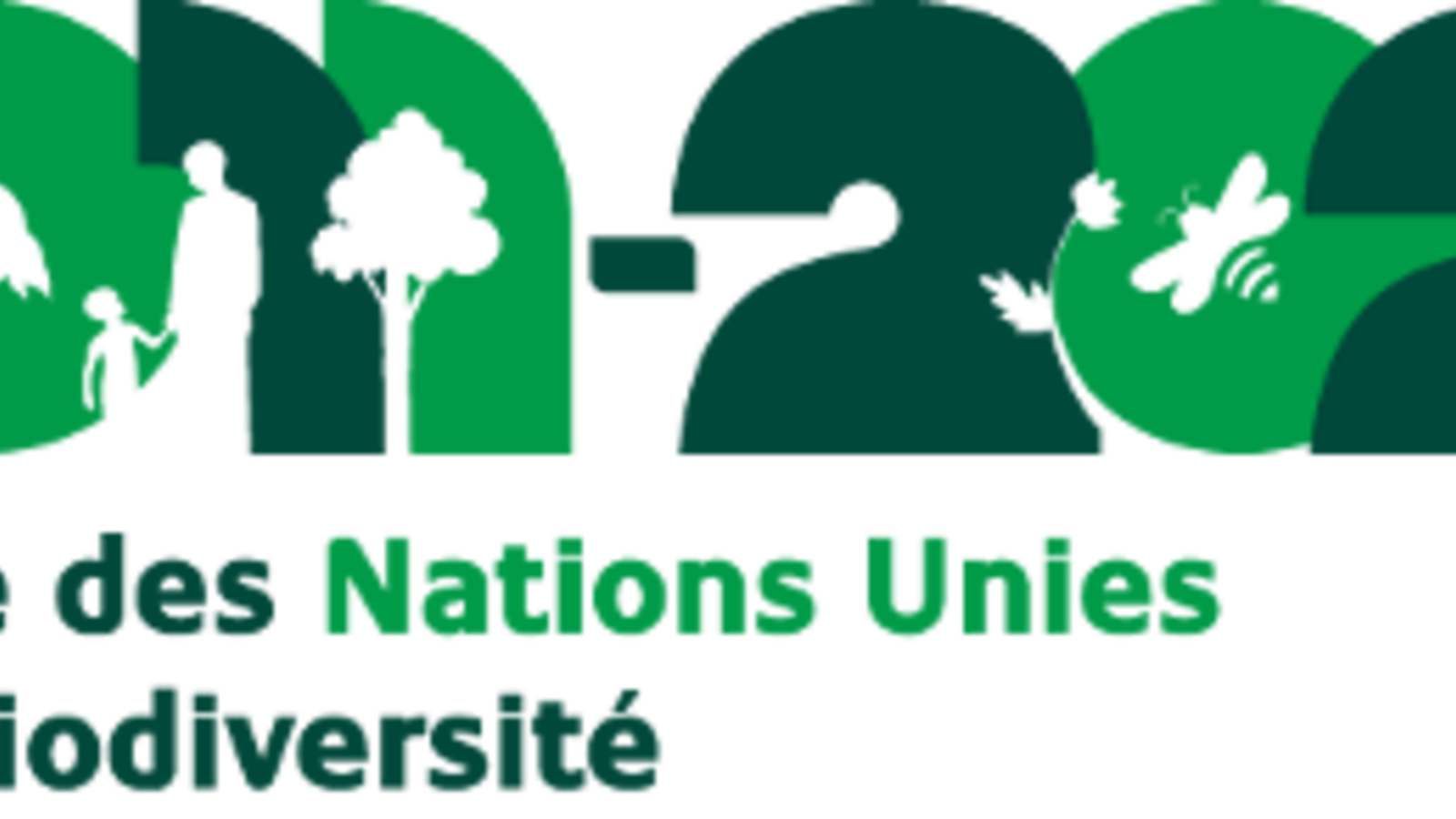 undb_logo-f.png