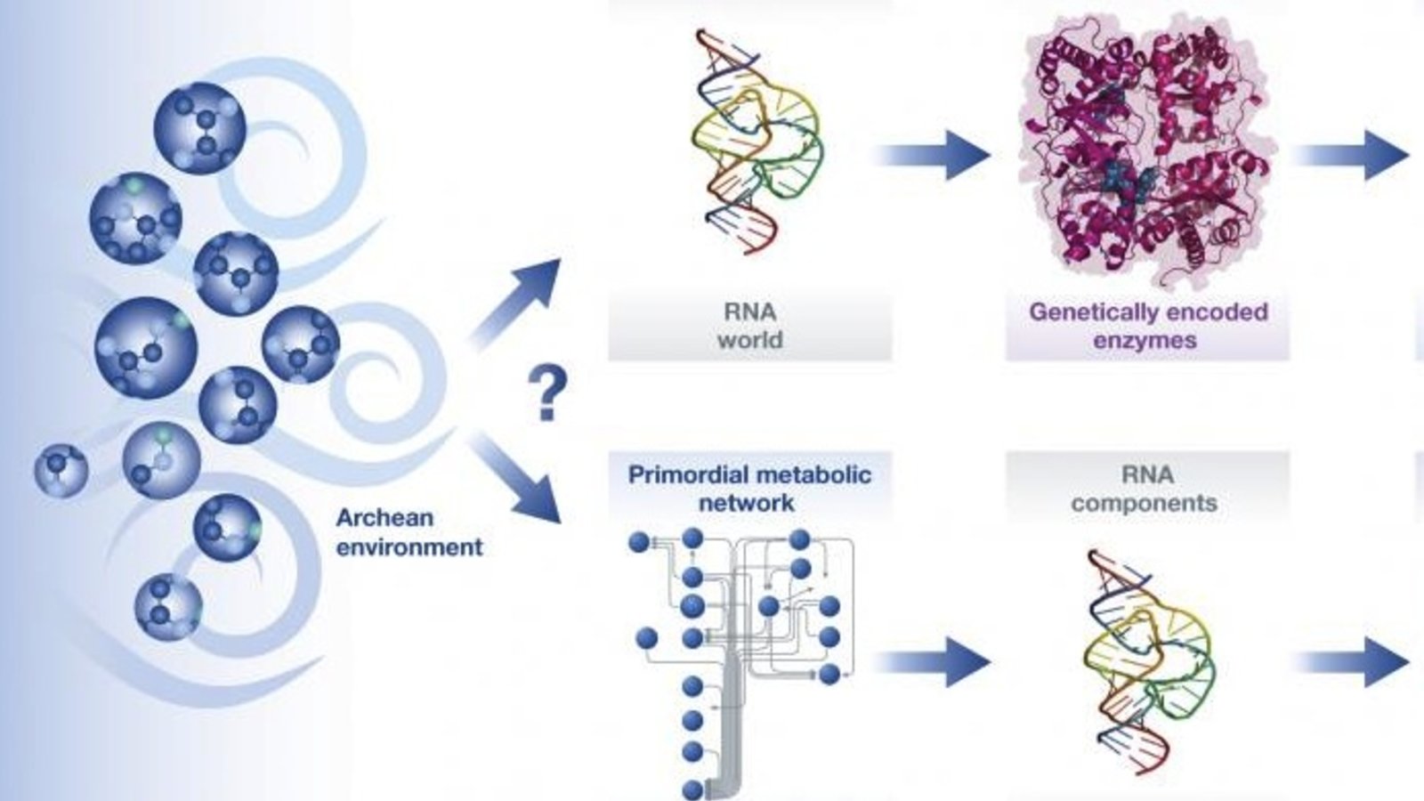 vie-origines-2hypotheses.jpg