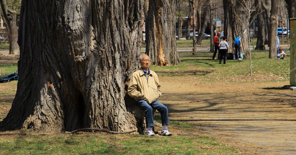 Air pollution increases when trees are hot.
