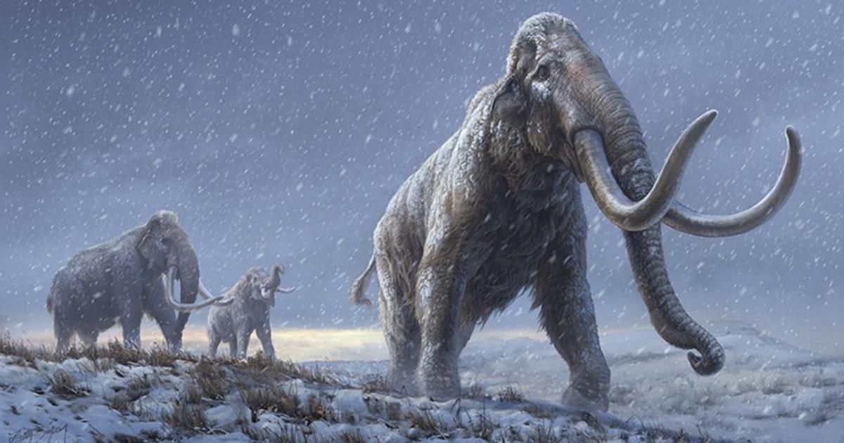 Mammoth Island | Science Press Agency