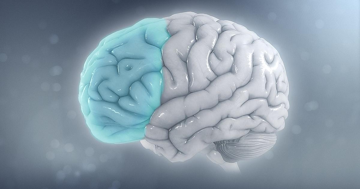10 anni di mappatura del cervello: l’obiettivo è ancora lontano