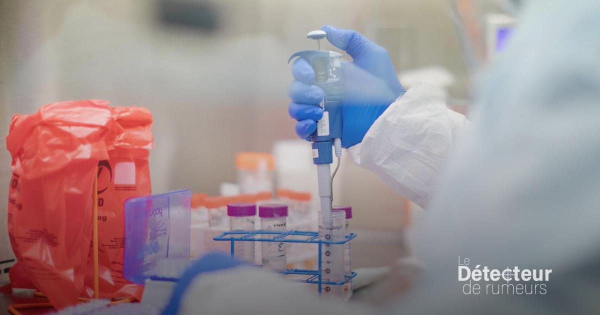 Non, les vaccinés ne sont pas plus à risque d’être infectés par Omicron ...