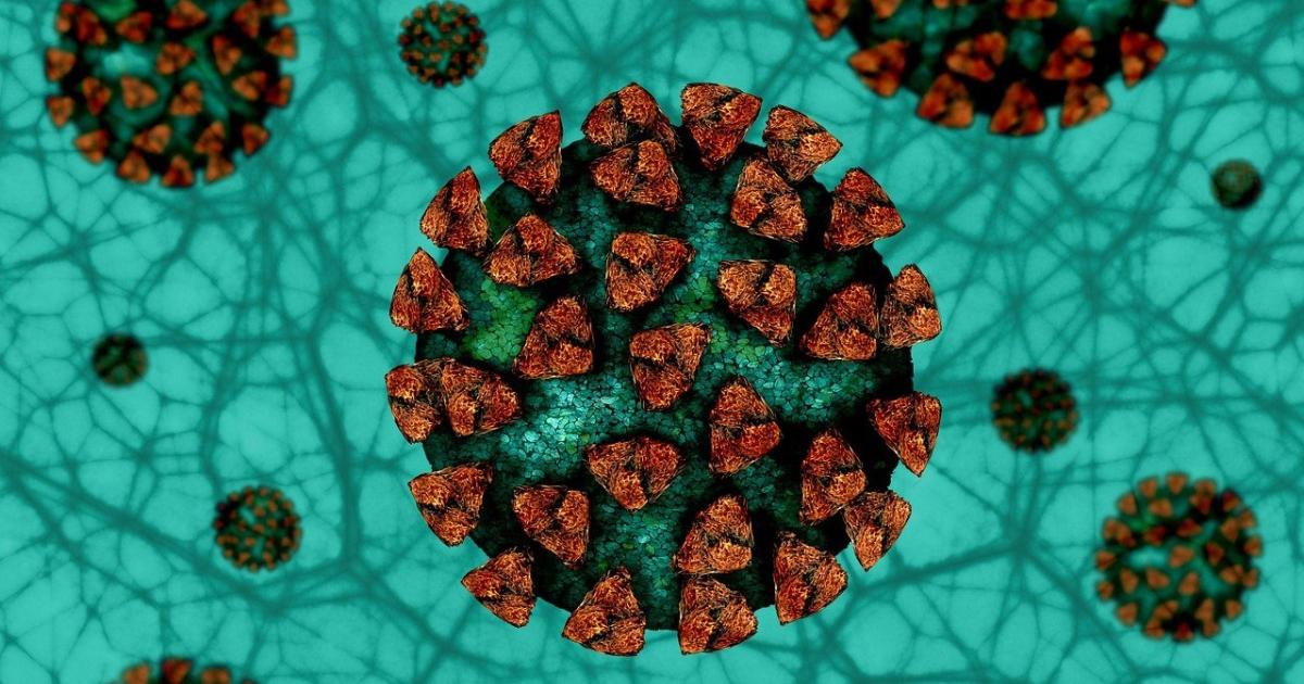 coronavirus-fond-vert.jpg?itok=O7qRsH41