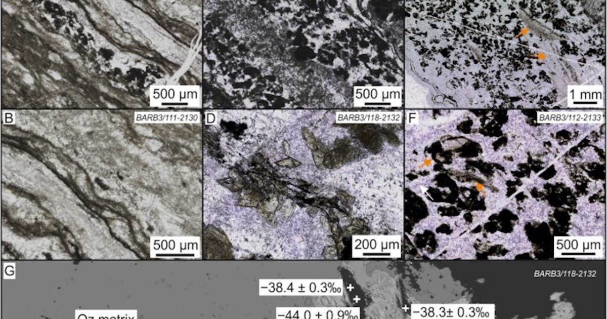 Un ecosistema che ha più di 3 miliardi di anni