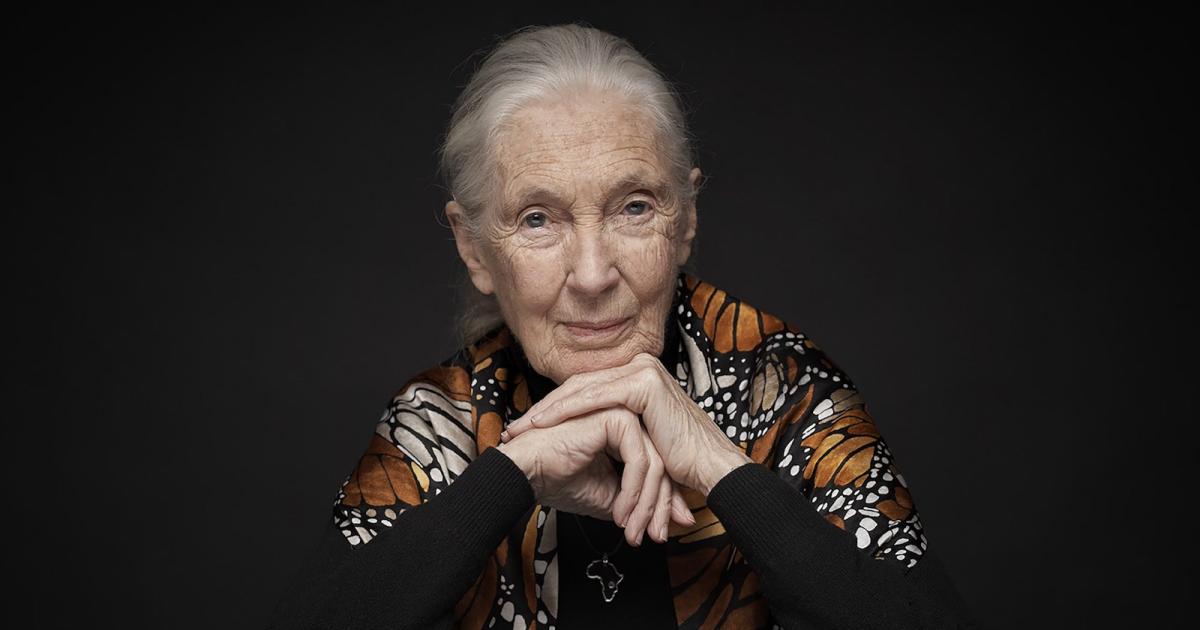 De René Descartes à Jane Goodall : celle qui a renversé la perspective