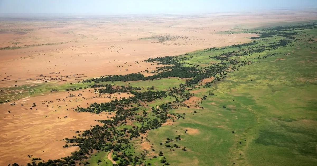 Afrique: la muraille verte en difficulté