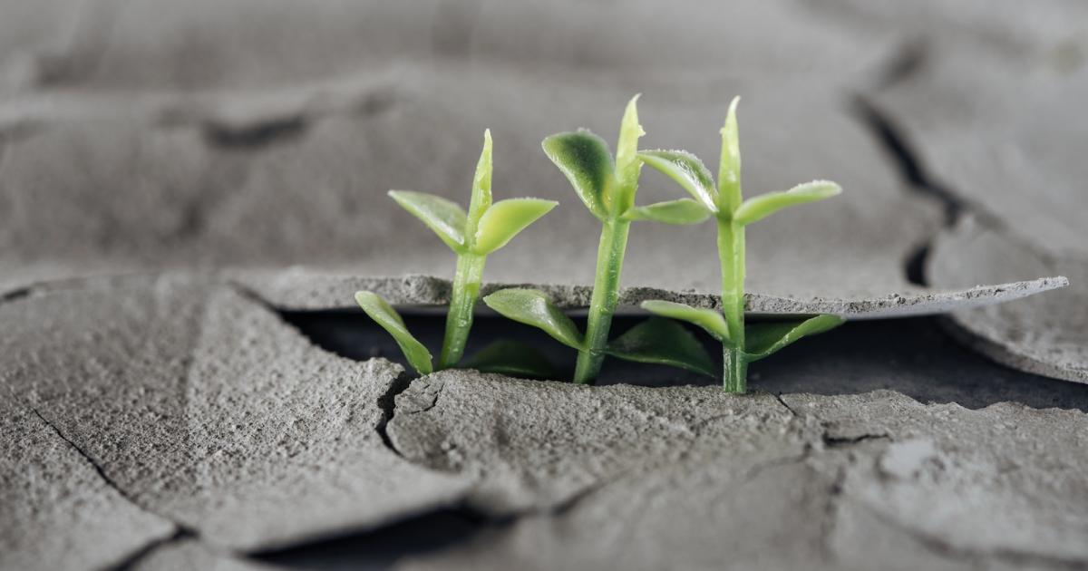 Les modèles économiques sous-estiment les risques climatiques