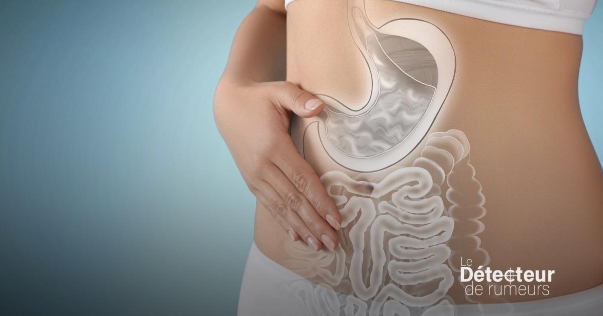 Une bonne idée, les kits pour tester le microbiote? Non