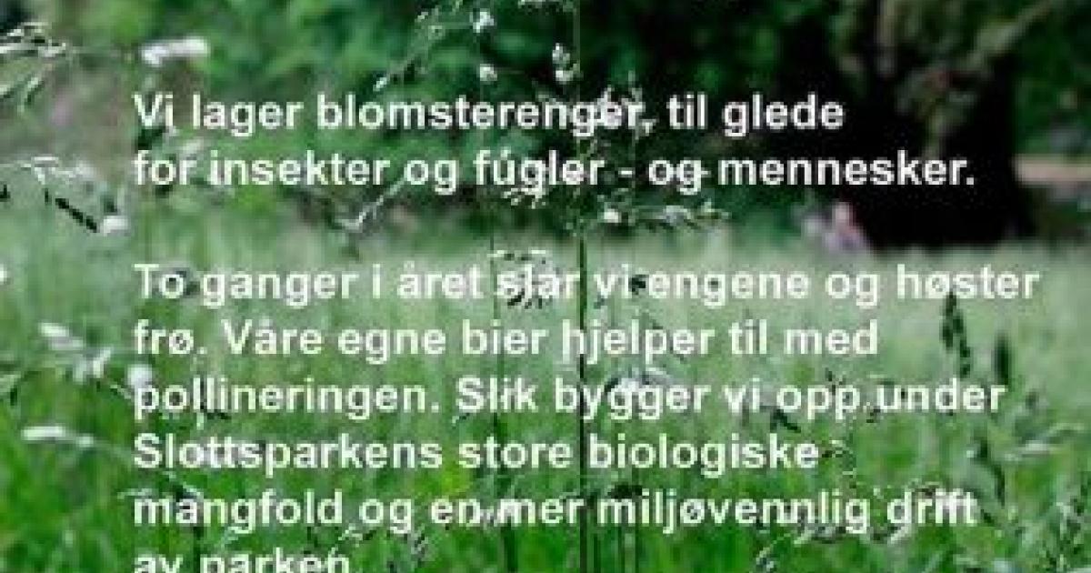 Norge: kongen klipper ikke lenger plenen sin