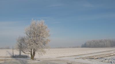 Québec en hiver