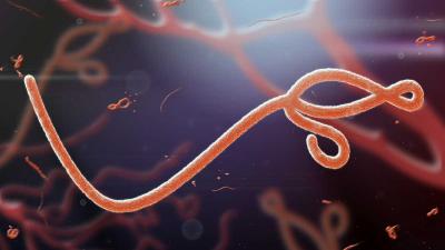 ébola.jpg (42.66 Ko)
