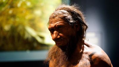 Neandertal-NaturalHistoryMuseum