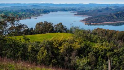 paysage-joshua-hubert-Australie