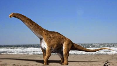 titanosaure-hypselnosaure