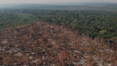 Amazonie-deforestation.jpg
