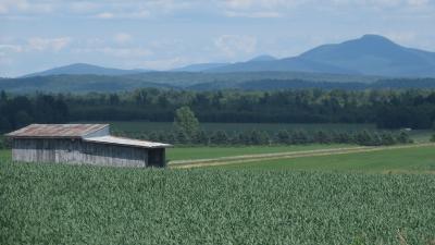 agriculture-St-Armand.jpg