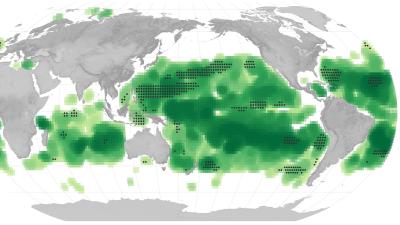 oceans-vert-2023.jpg
