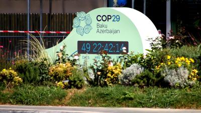 COP29-DP.jpg