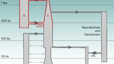 article Nature Genetic.png