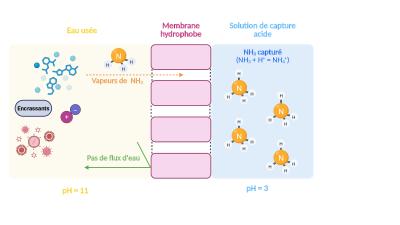CQMF - FPerreault.jpg