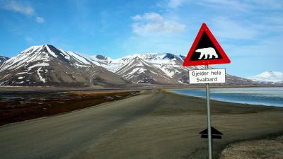 Svalbard-panneau.jpg