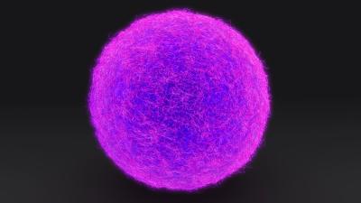 ovule-DP.jpg