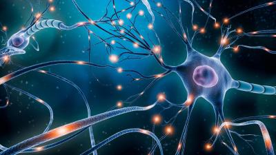 neurones-signaux.jpg