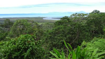 Foret-Daintree-Australie.jpg