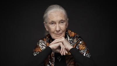 JaneGoodall.jpg