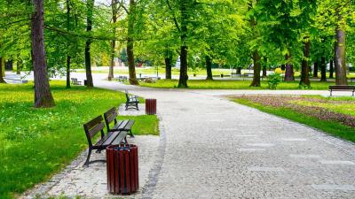 ville-parc-verdure.jpg