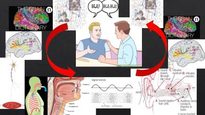 Capture d&rsquo;&eacute;cran 2026-01-26 112743.jpg