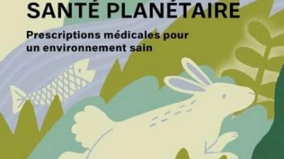 Capture d&rsquo;&eacute;cran 2026-03-30 112048.jpg