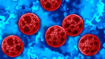 cyclospora-parasite.jpeg