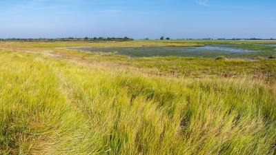 marais-sale-Pays-Bas.jpeg