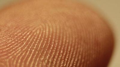 800px-fingerprint_detail_on_male_finger.jpg