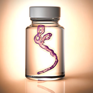 Ebola en bouteille