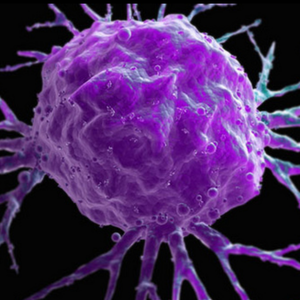 cancer_cell_flickr