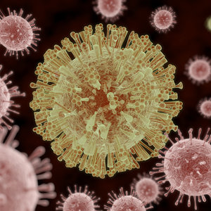 Zika