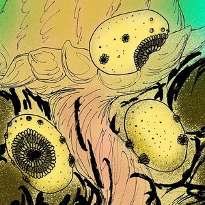 Saccorhytus coronarius