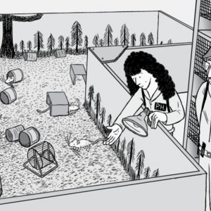 rat park