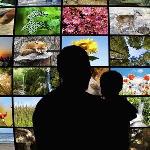 TV-mur-dreamstime