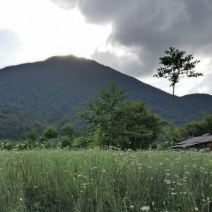 Bisoké