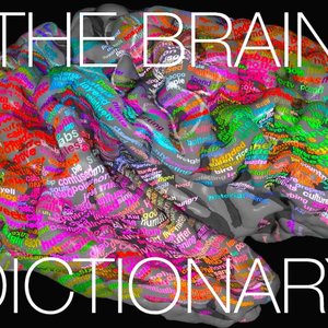 brain dictionary