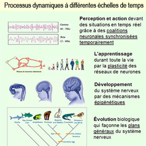 processus dynamiques