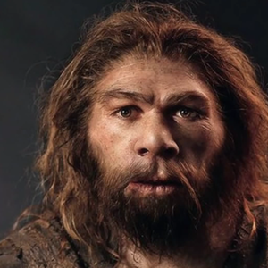Reconstitution d'un Néandertaliens
