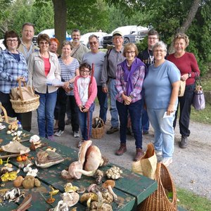 Récolte de champignons en Outaouais