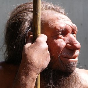 DDR_Neandertal-Boite