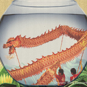 Dragon dans l'aquarium Micrologie 2017