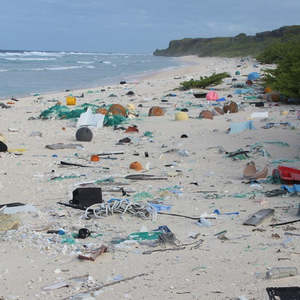 île plastique