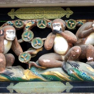 3 monkeys
